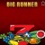 Big Runner Deluxe